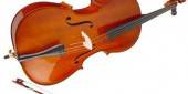 violoncelo837