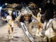 Corte do Carnaval