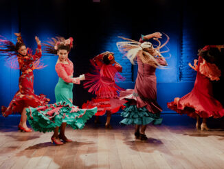 Flamenco Negro