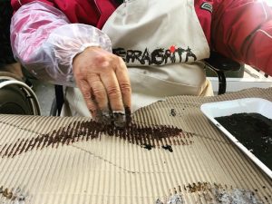 Coletivo Terragrita promove oficina gratuita em Canoas