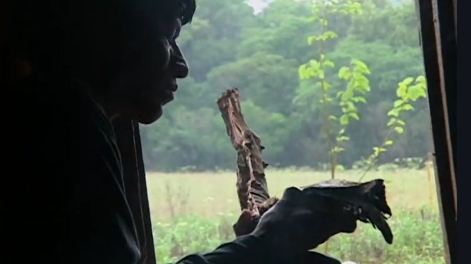 Bicicletas de Nhanderú_crédito__Coletivo Mbyá-Guarani de Cinema