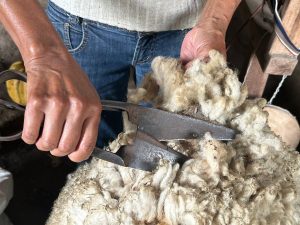 Caçapava do Sul e Dom Pedrito recebem curso gratuito Rota da Lã